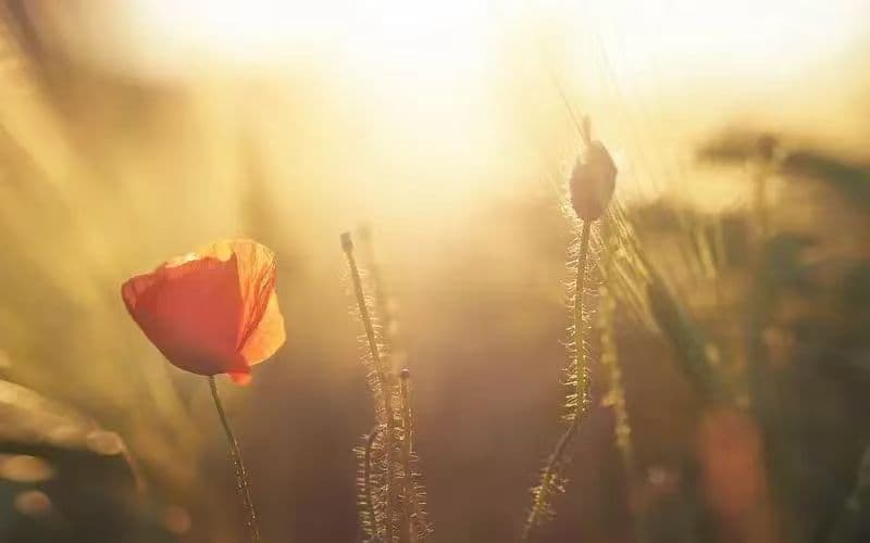 你要记得那些黑暗中默默抱紧你的人，逗你笑的人，陪你彻夜聊天的人…