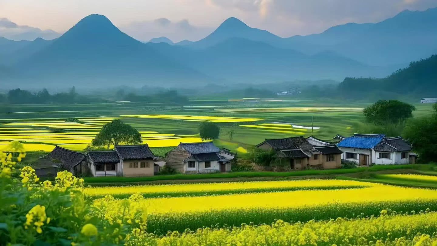 愿你我，都能被生活温柔以待。