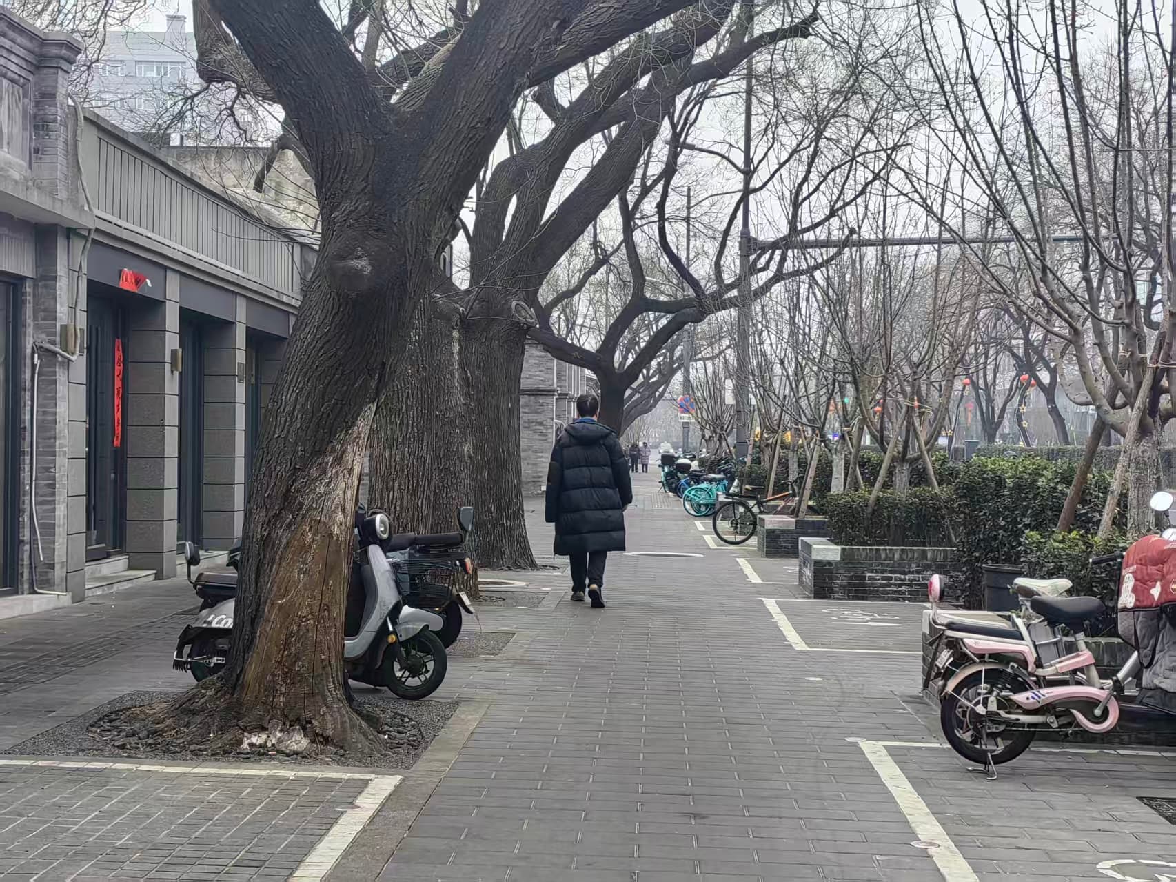 February 25, 2026, Beijing. It’s cloudy and a bit cold today.